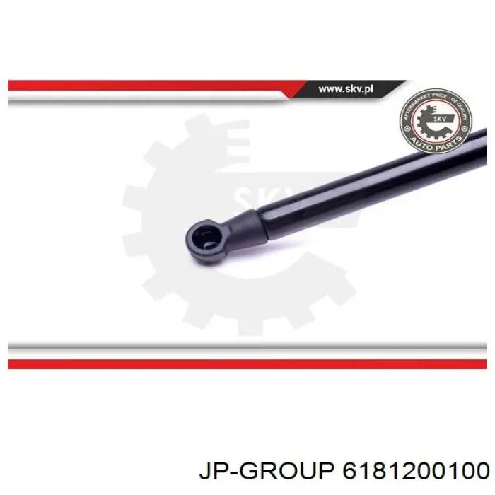 Амортизатор двері задньої JP Group 6181200100 ціна, від 5.83 USD