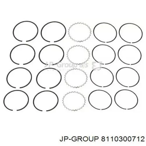 8110300712 JP Group 