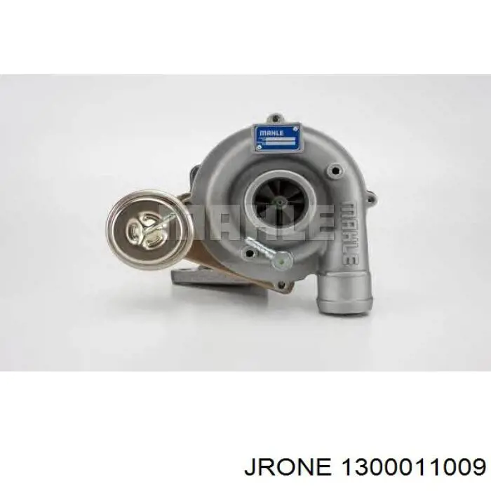1300011009 Jrone 