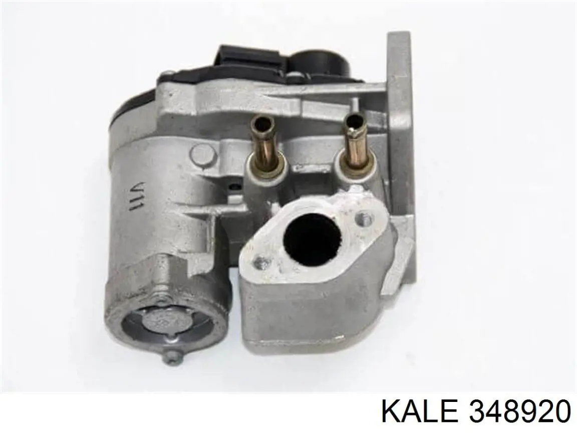 348920 Kale Клапан рециркуляції відпрацьованих газів EGR