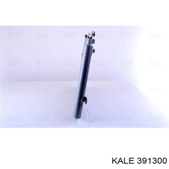391300 Kale Конденсатор