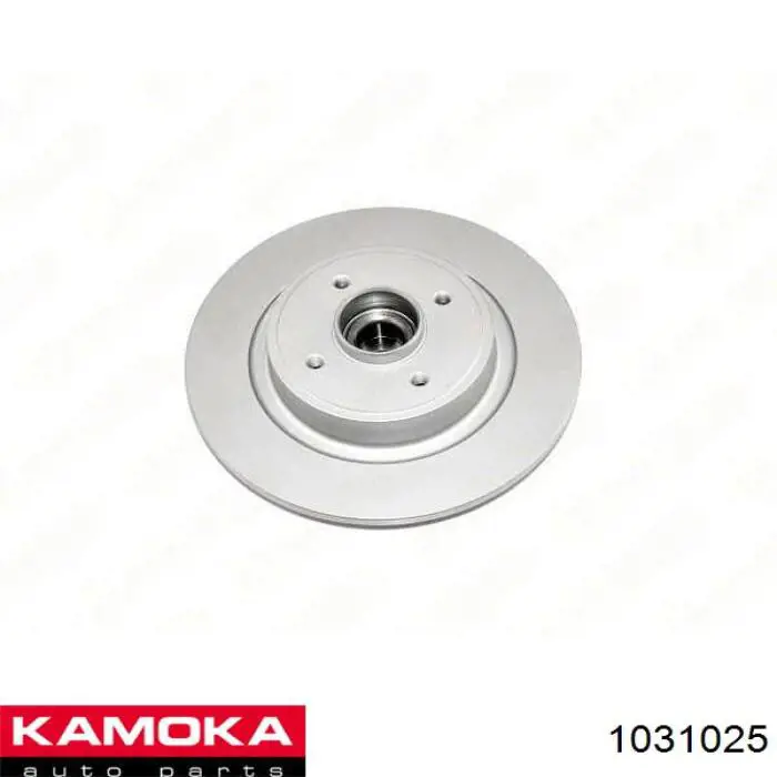 Гальмівні диски 1031025 Kamoka
