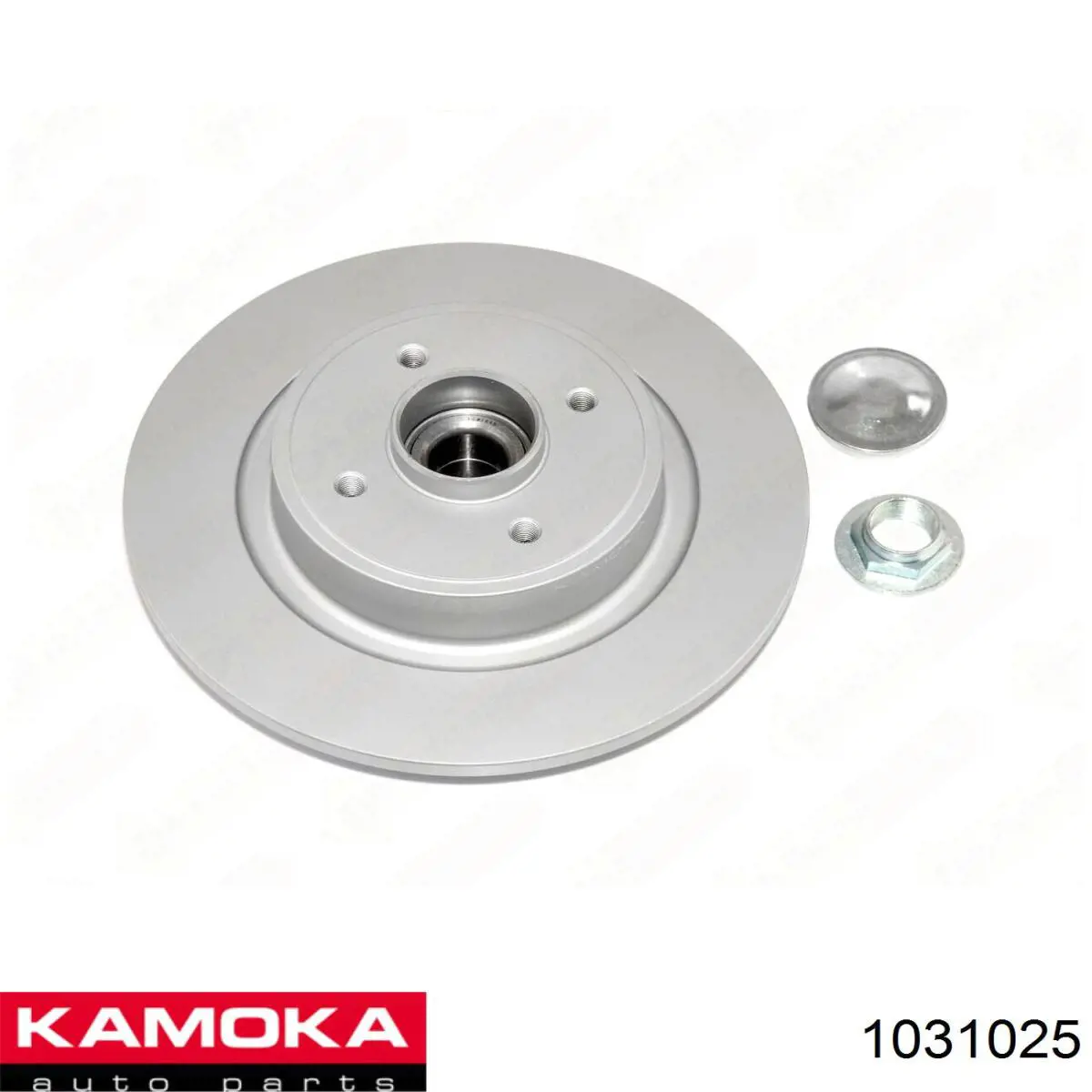 Купити 1031025 Kamoka Диск заднього гальма