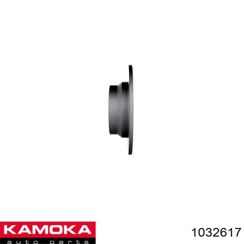 Купити 1032617 Kamoka Диск заднього гальма