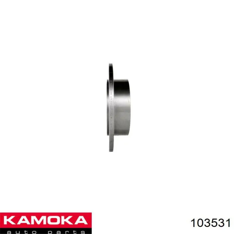 Купити 103531 Kamoka Диск заднього гальма