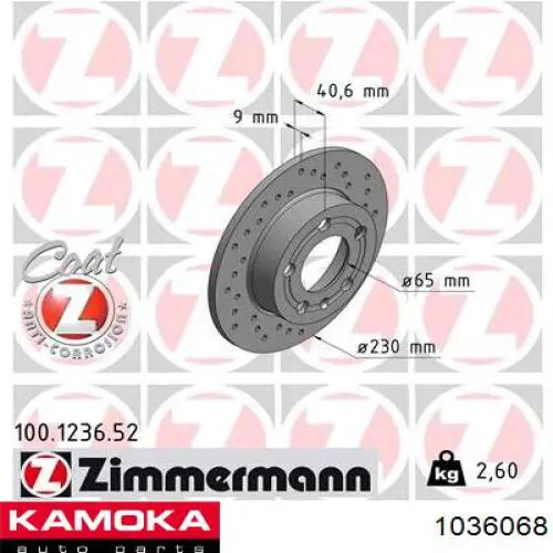 Купити 1036068 Kamoka Диск заднього гальма