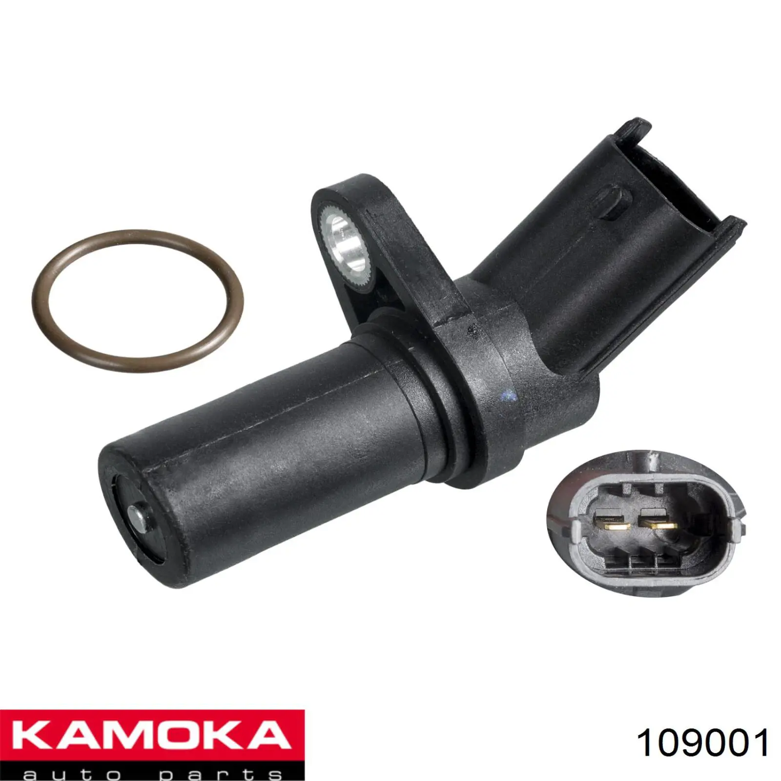 109001 Kamoka ДПКВ