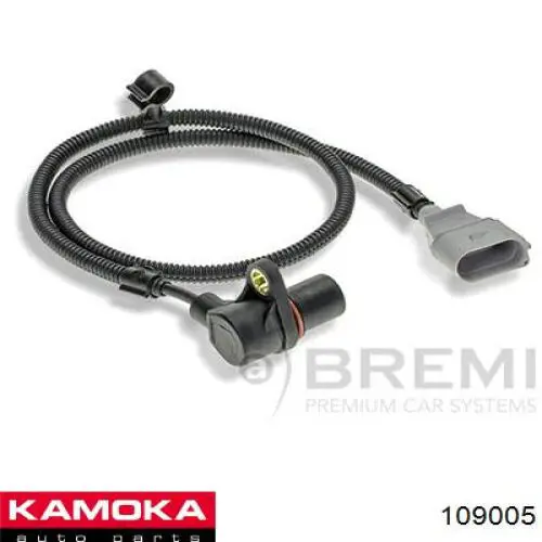 109005 Kamoka ДПКВ
