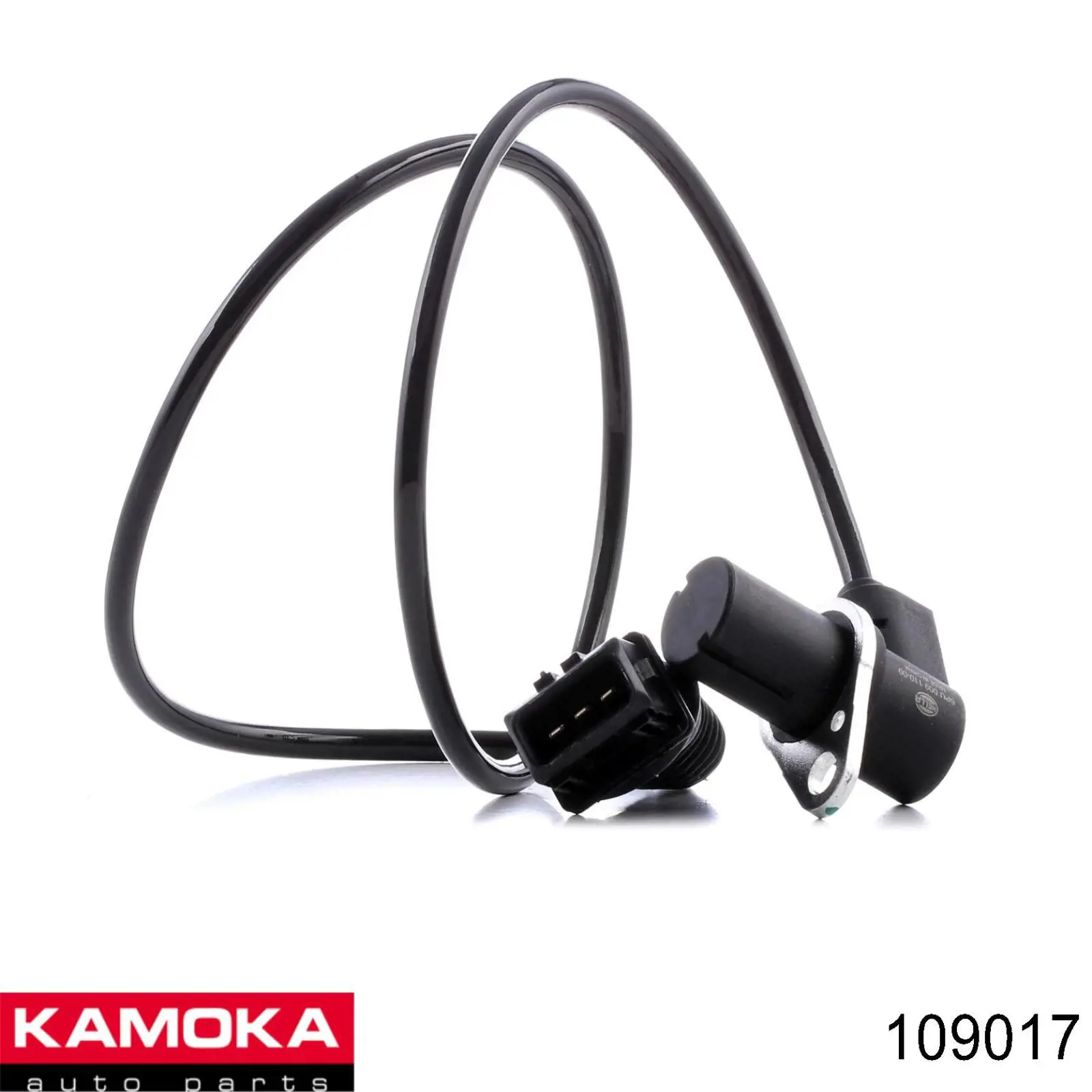109017 Kamoka ДПКВ