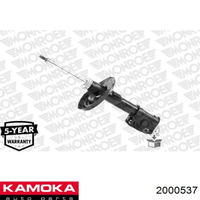 Амортизатор передній 8660004189 Renault (RVI)