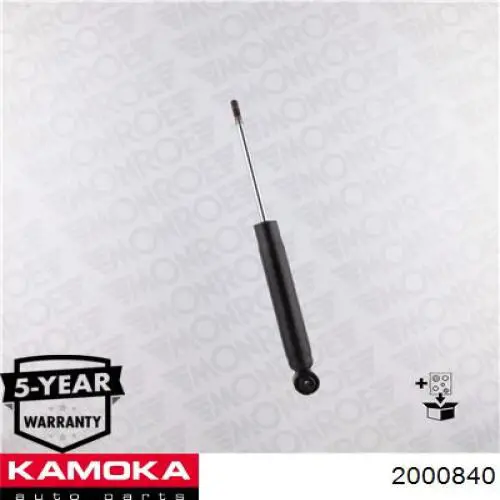 Купити RS316937 Raiso Стійка амортизатора задня