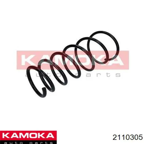 Пружина передня Raiso SF073TP ціна, від 24.67 USD