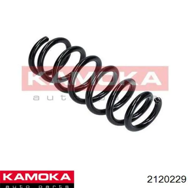 ZC6503I Japan Parts Пружина підвіски задня