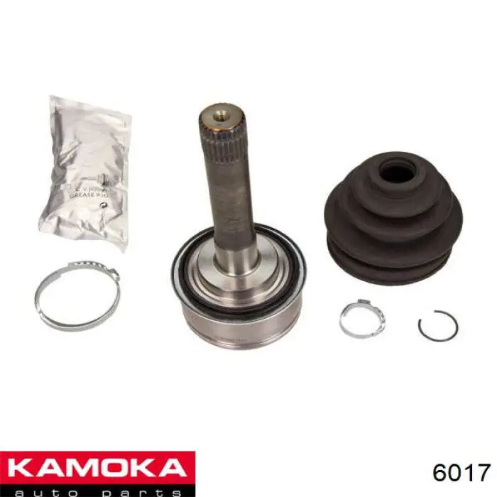 6017 Kamoka Граната зовнішня