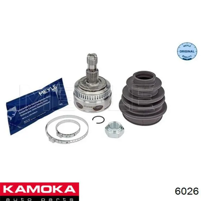 6026 Kamoka Граната зовнішня