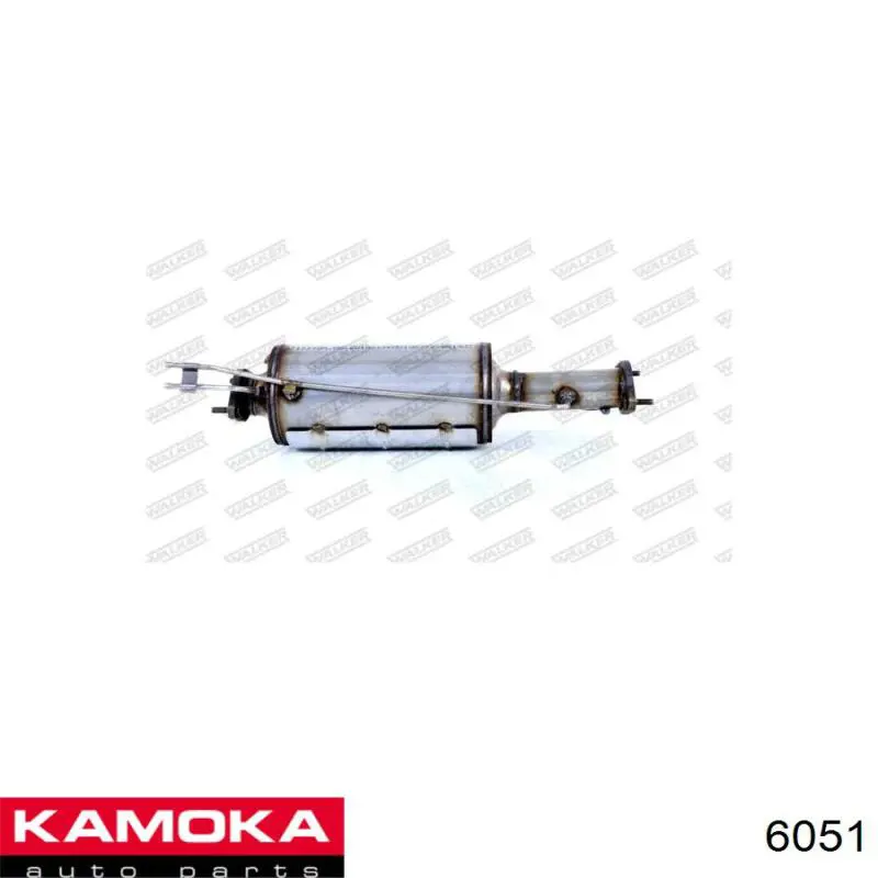 6051 Kamoka Граната зовнішня