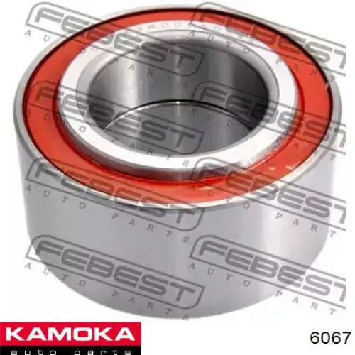 6067 Kamoka Граната зовнішня