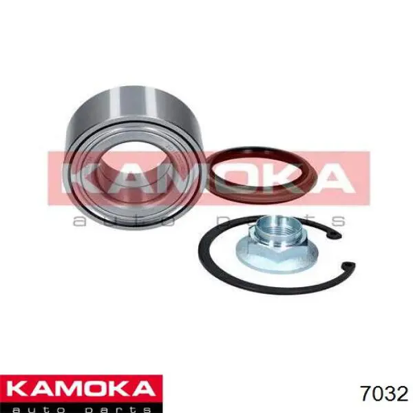 7032 Kamoka Граната зовнішня