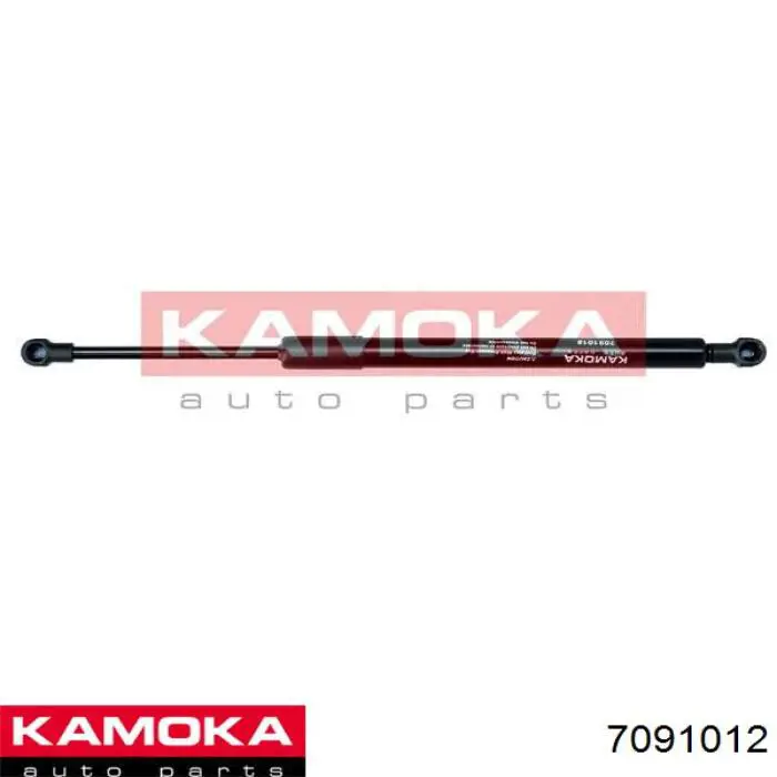GS110740 Signeda Стійка капота