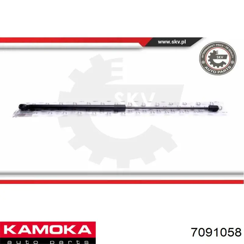 Купити GS110947 Signeda Амортизатор під капот