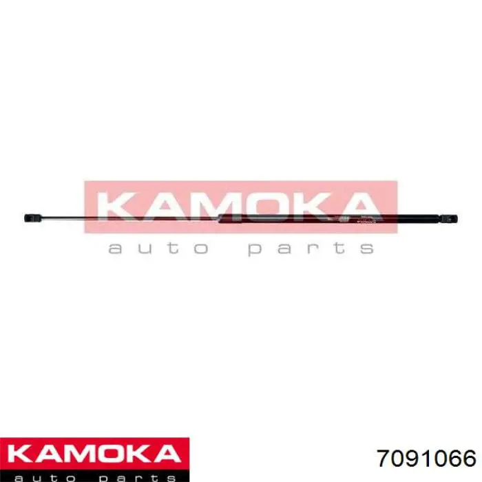 7091066 Kamoka 