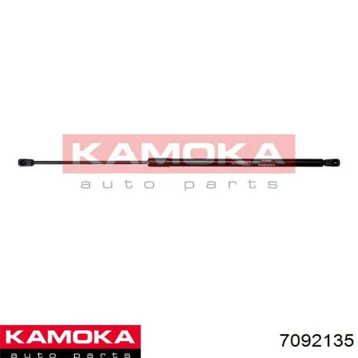 Амортизатор двері задньої Fiat/Alfa/Lancia 1354844080 ціна, від 10.92 USD
