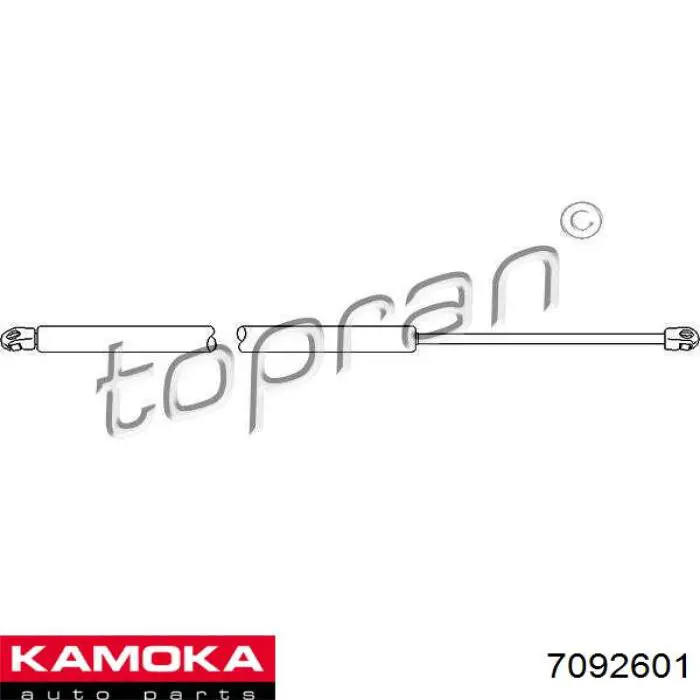 Амортизатор двері задньої Vika 88270980201 ціна, від 9.31 USD