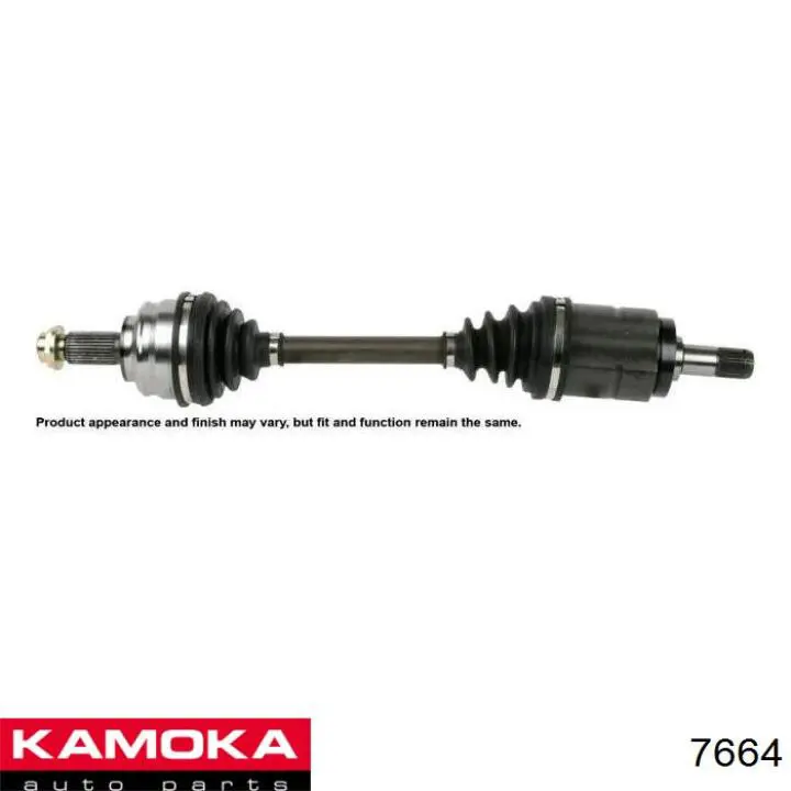 7664 Kamoka Граната зовнішня