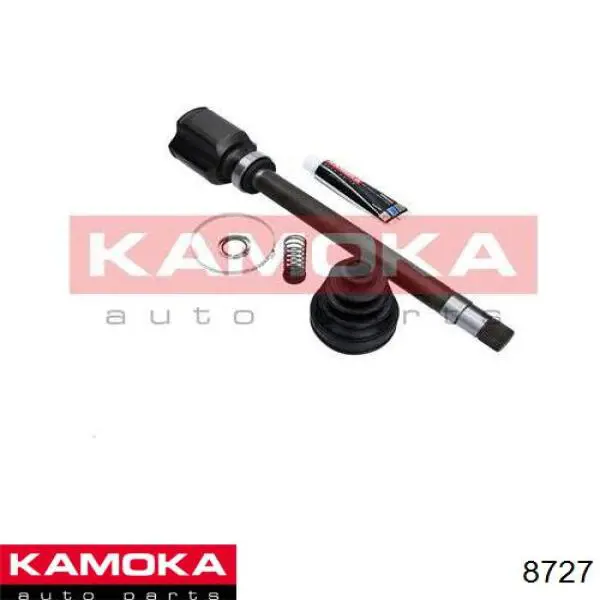  8727 Kamoka