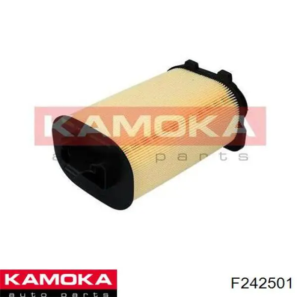 Повітряний фільтр F242501 Kamoka