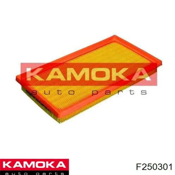 Фільтр повітряний F250301 Kamoka