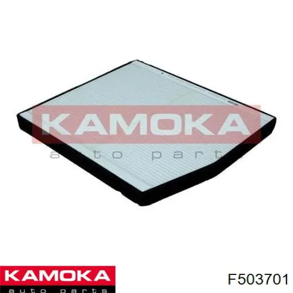 Повітряний фільтр салону Kamoka F503701