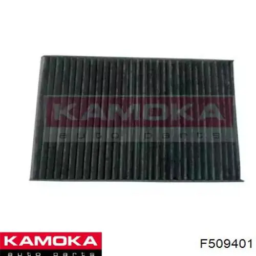 Повітряний фільтр салону Kamoka F509401