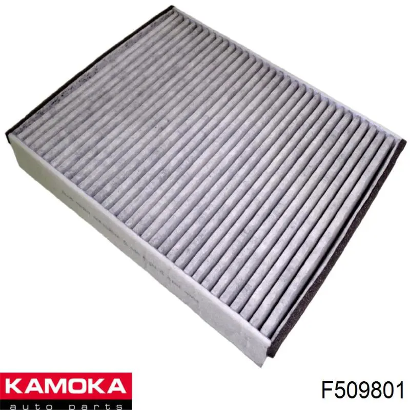 Фільтр салону F509801 Kamoka