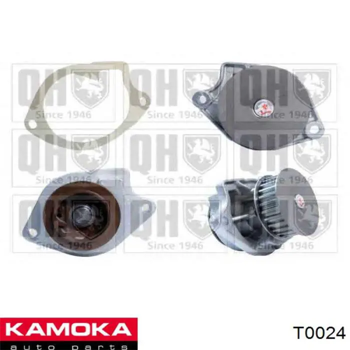 Помпа T0024 Kamoka