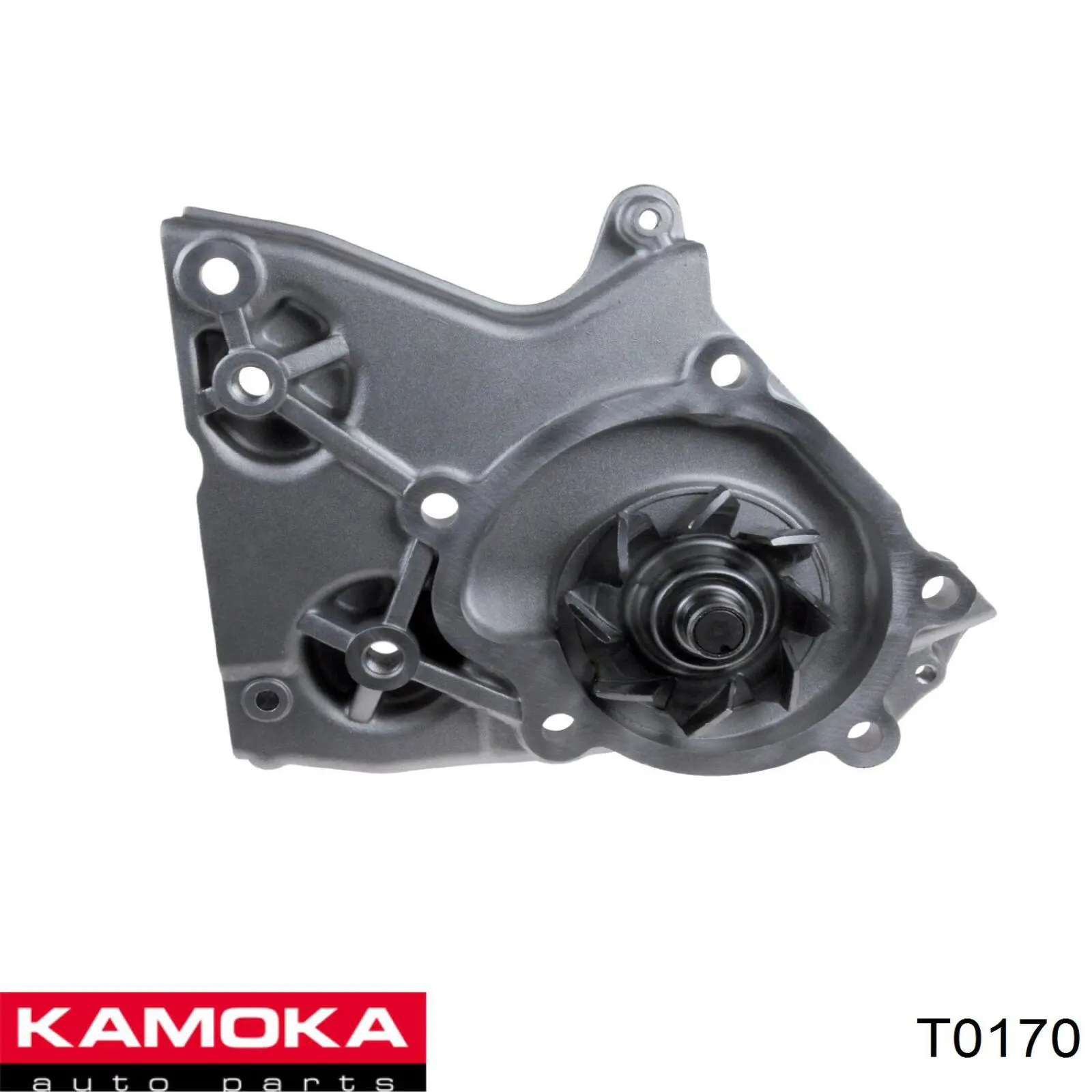 T0170 Kamoka Насос охолодження