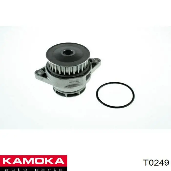 Водяний насос охолодження, з корпусом Kamoka T0249