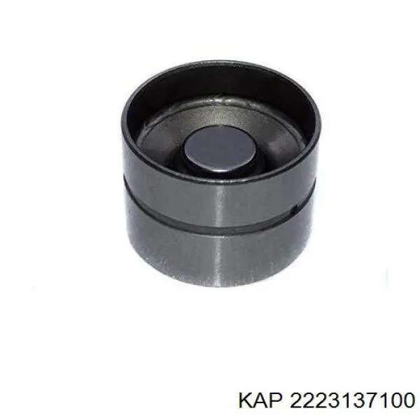 2223137100 KAP Гідрокомпенсатор