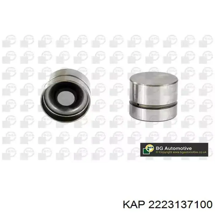 Купити 2223137100 KAP Штовхач клапанів двигуна