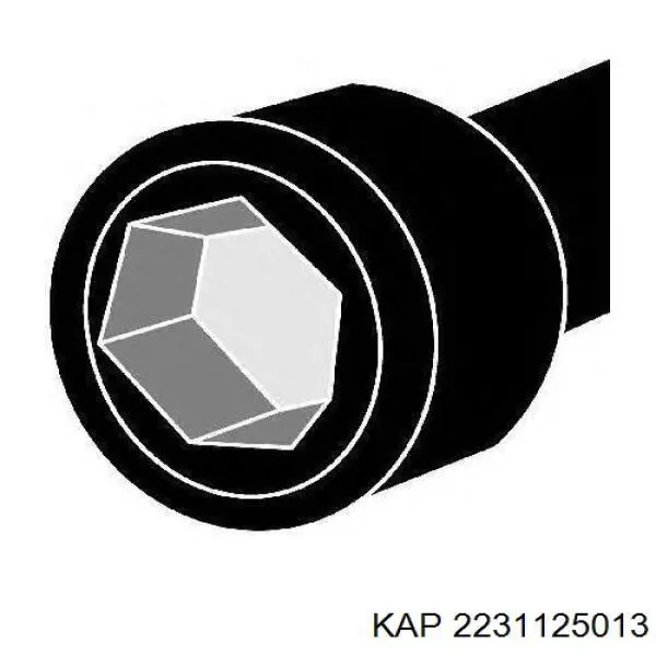 Прокладка ГБЦ 2231125013 KAP