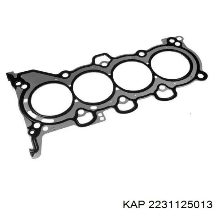 Купити 2231125013 KAP Прокладка ГБЦ