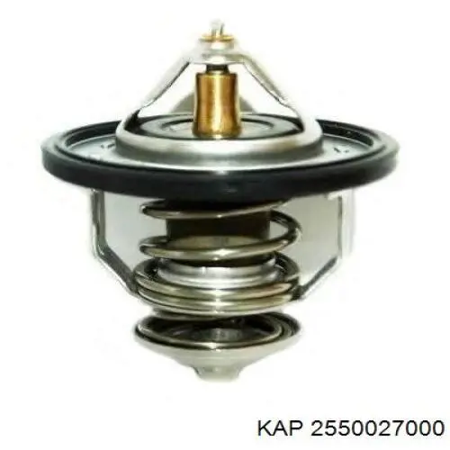 Купити 2550027000 KAP Термостат в корпусі