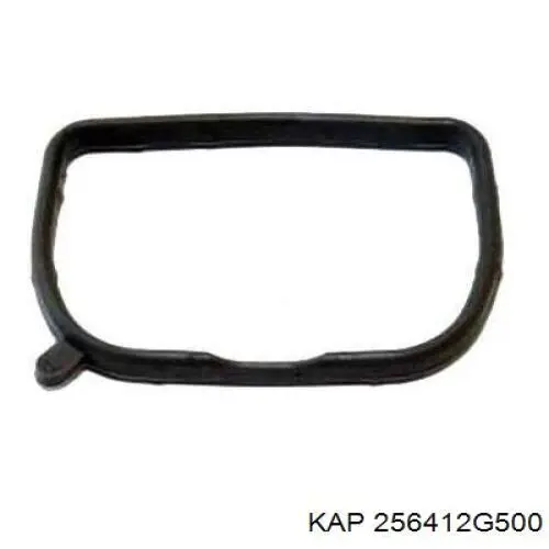 Купити 256412G500 KAP Прокладка корпусу термостата