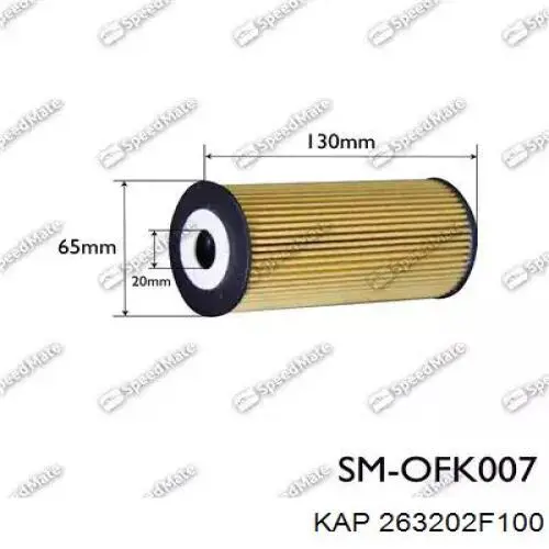 263202F100 KAP Фільтр масла