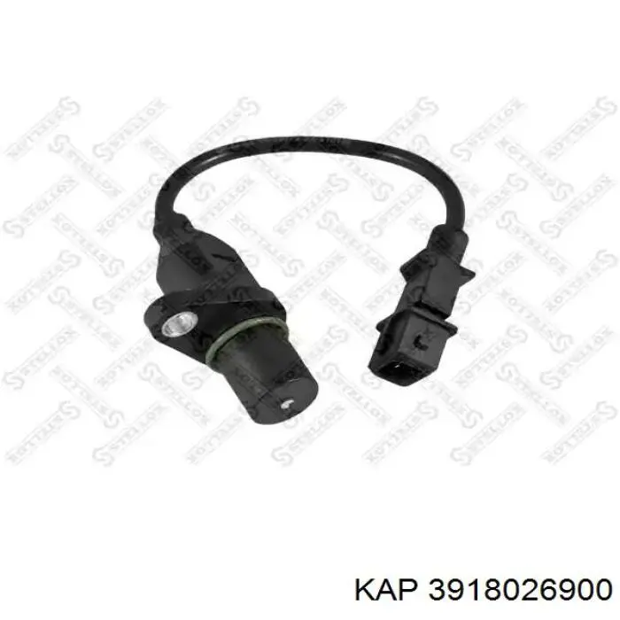 3918026900 KAP ДПКВ