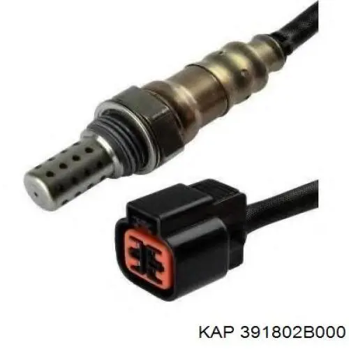 391802B000 KAP ДПКВ