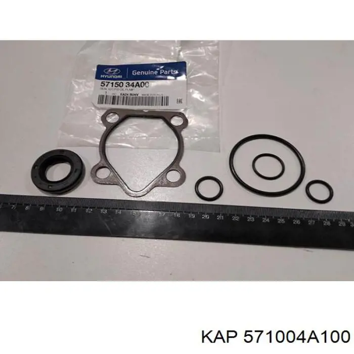 KM0703101RBLT KAP Насос гідропідсилювача