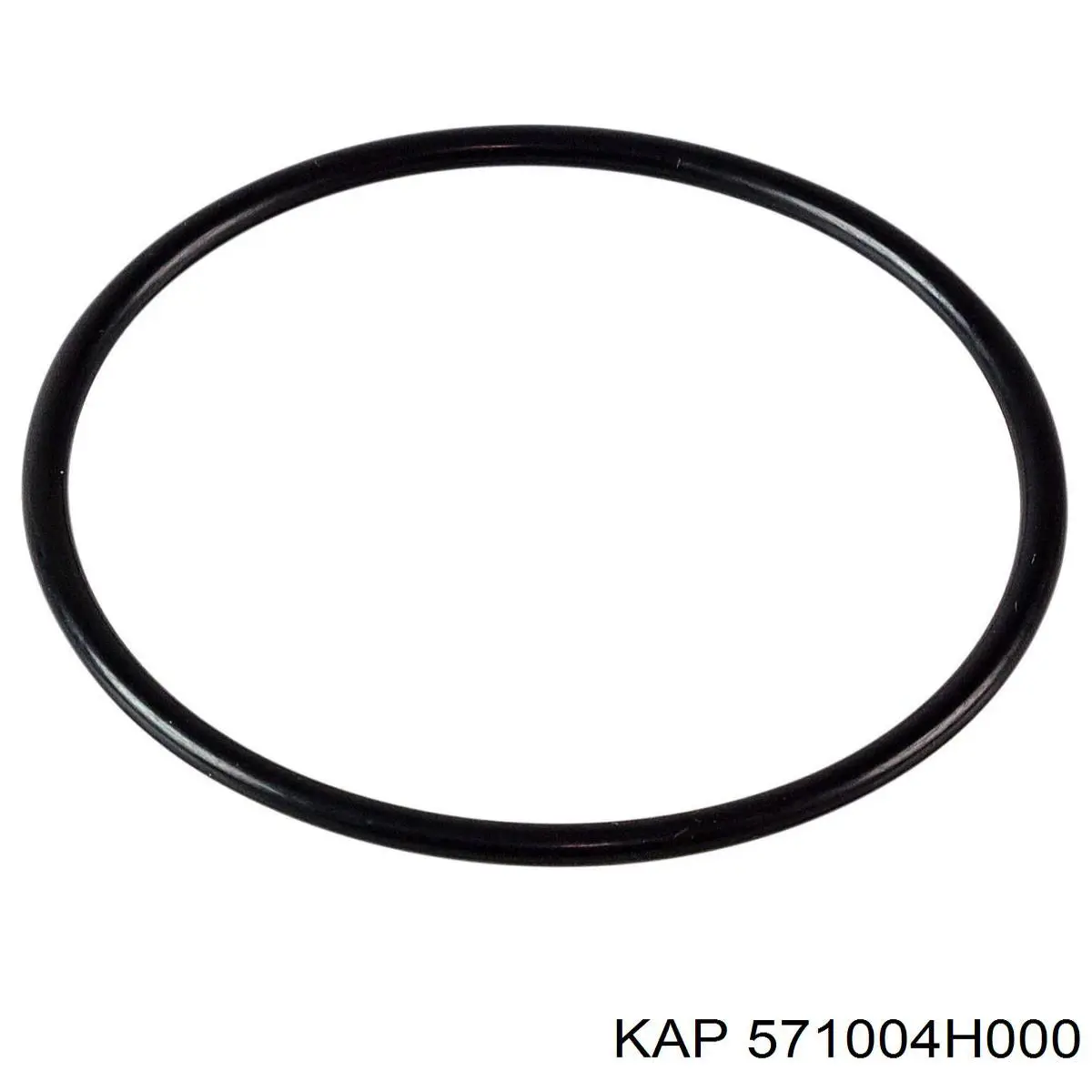 571004H000 KAP Насос гідропідсилювача