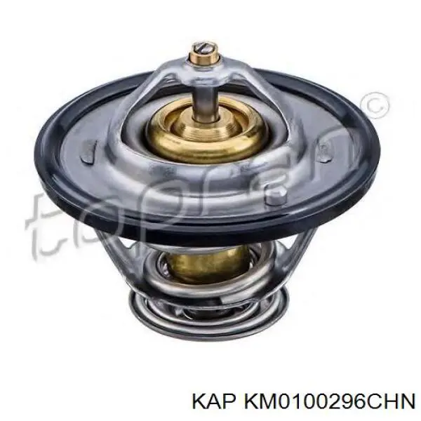 Купити KM0100296CHN KAP Термостат в корпусі
