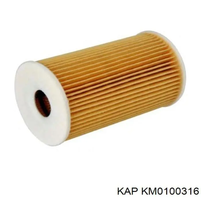 Масляний фільтр KM0100316 KAP